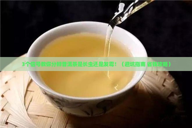 怎么分辨普洱茶长虫了还是霉了 怎么分辨普洱茶长虫了还是霉了
