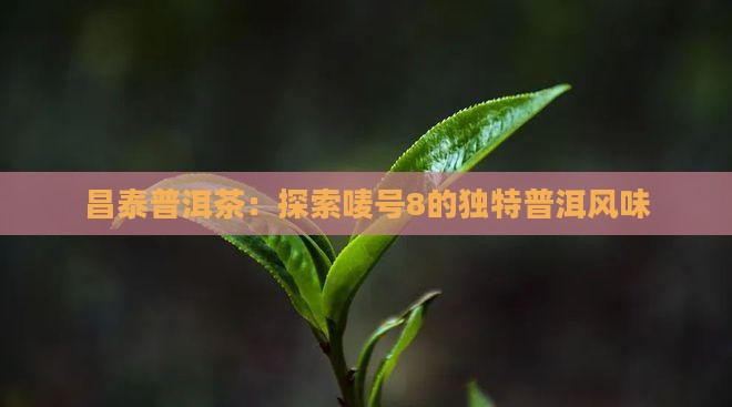 昌泰普洱茶唛号8