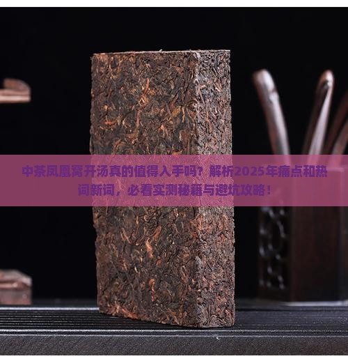 中茶凤凰窝开汤