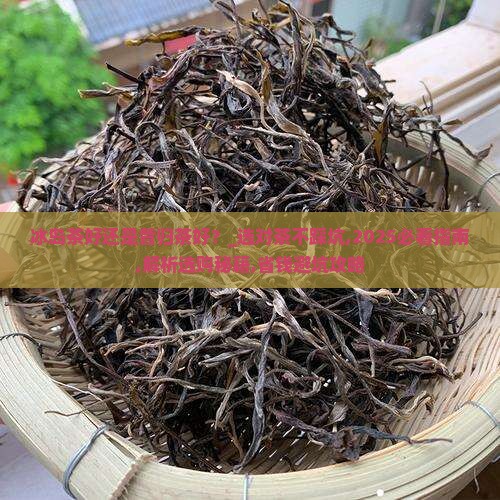 冰岛茶好还是昔归茶好
