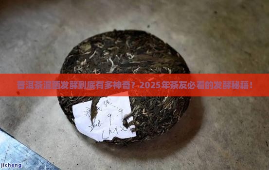 普洱茶混菌发酵的优点