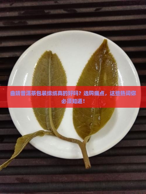 曲靖普洱茶包装绵纸