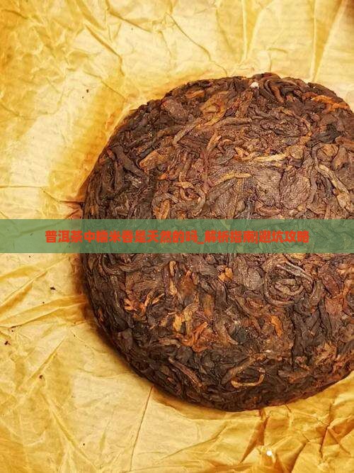 普洱茶中糯米香是天然的吗