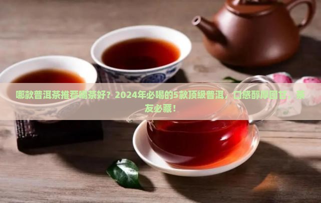 哪款普洱茶推荐喝茶好