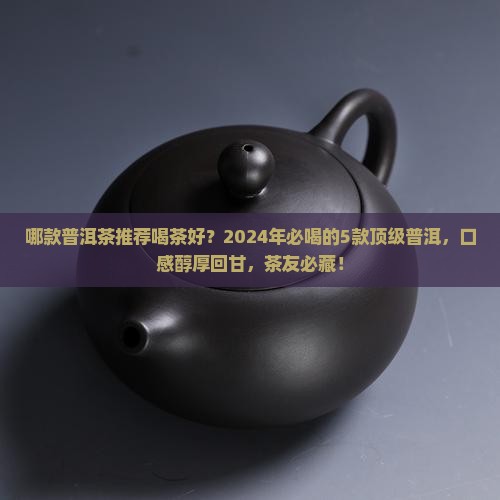 哪款普洱茶推荐喝茶好