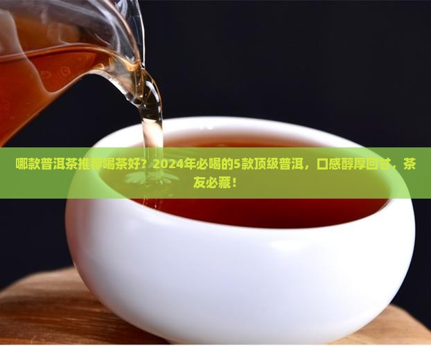 哪款普洱茶推荐喝茶好