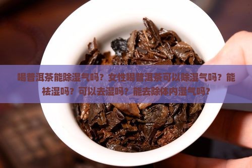 喝普洱茶能除湿气吗
