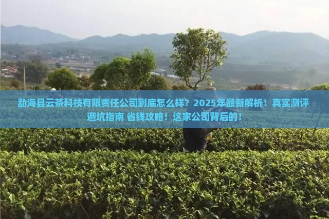 勐海县云茶科技有限责任公司