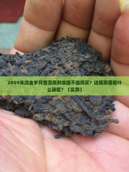 2009年流金岁月普洱茶
