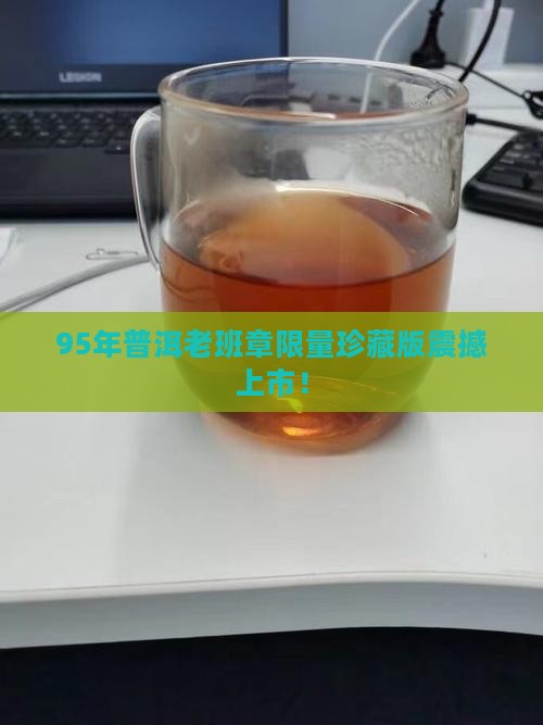 95年普洱老班章