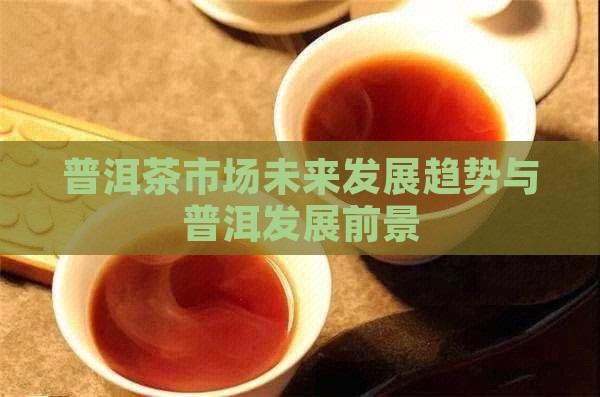 普洱茶源未来发展前景
