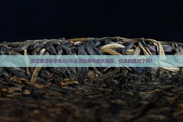 邹记普洱茶京东