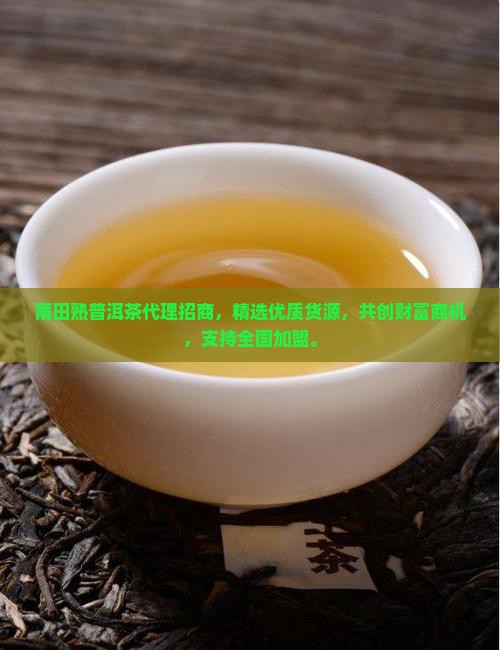 莆田熟普洱茶代理招商