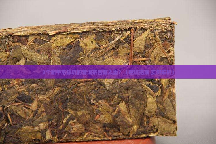 大益普洱茶哪款苦底少