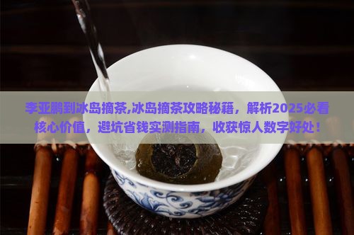 李亚鹏到冰岛摘茶