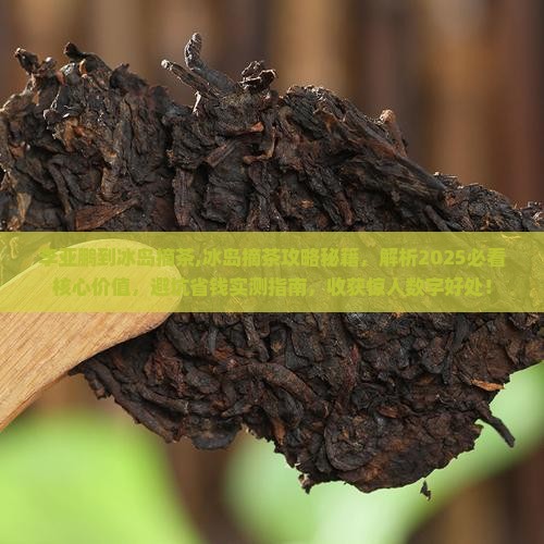 李亚鹏到冰岛摘茶