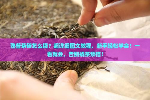 熟普茶砖怎么撬