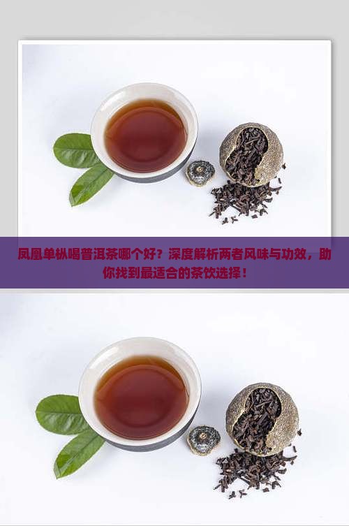 凤凰单枞喝普洱茶哪个好