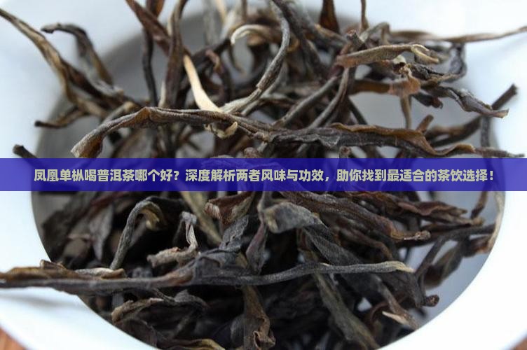 凤凰单枞喝普洱茶哪个好