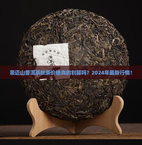 景迈山普洱茶秋茶价格
