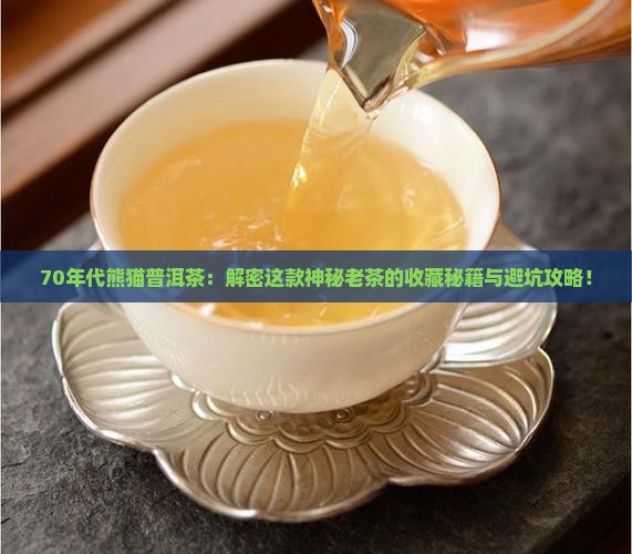 70年代熊猫普洱茶