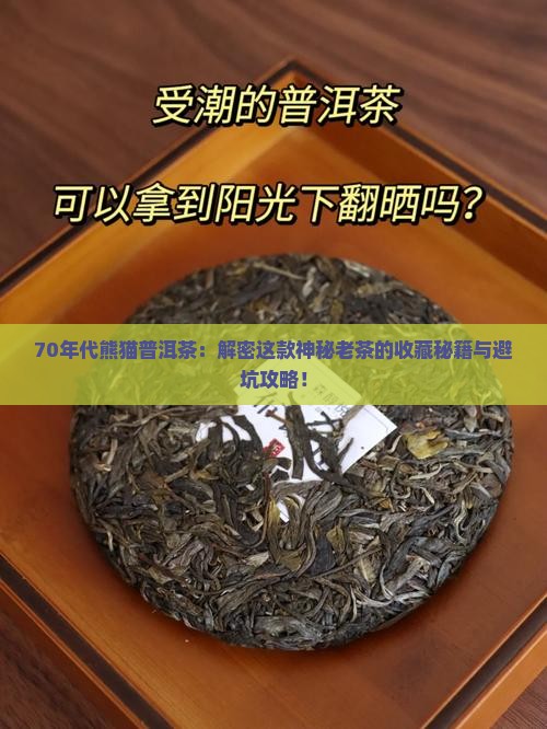 70年代熊猫普洱茶