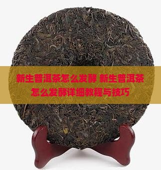 新生普洱茶怎么发酵