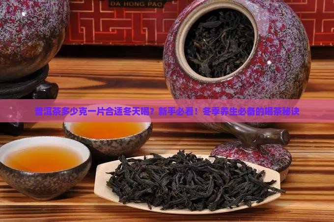 普洱茶多少克一片合适冬天喝