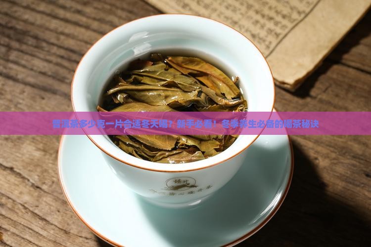 普洱茶多少克一片合适冬天喝