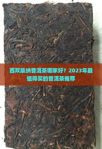 西双版纳普洱茶哪家好