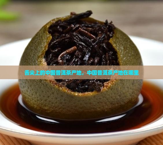 舌尖上的中国普洱茶产地