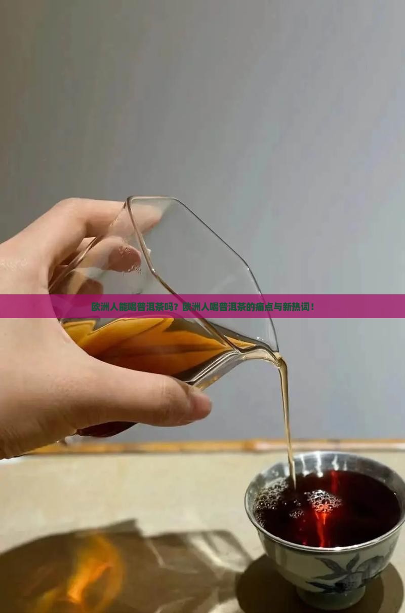 欧洲人能喝普洱茶吗
