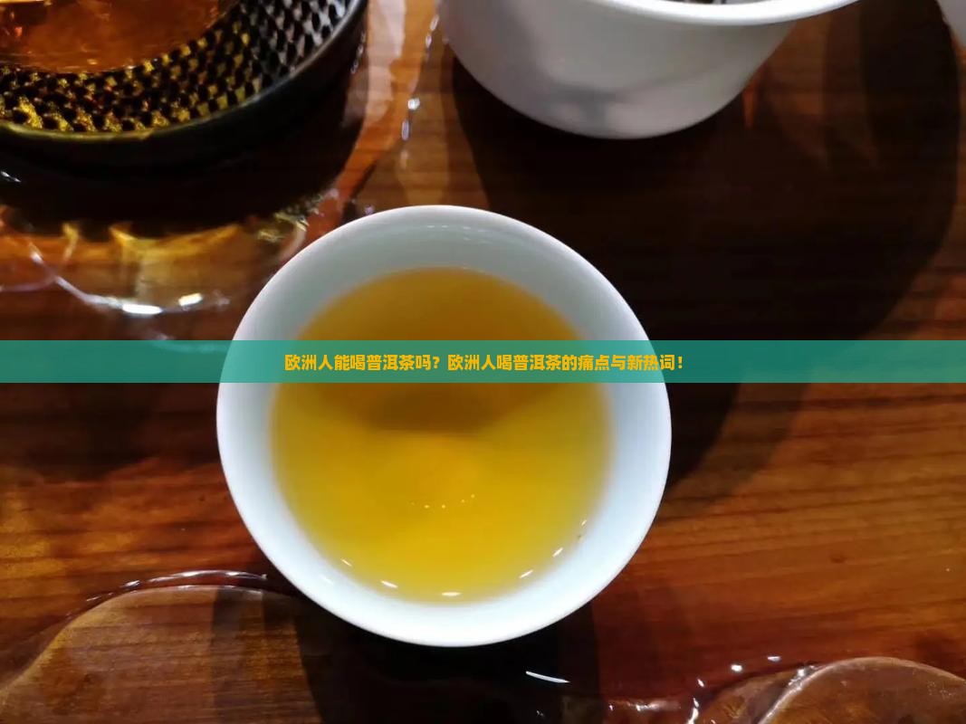 欧洲人能喝普洱茶吗