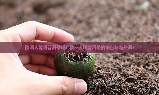 欧洲人能喝普洱茶吗