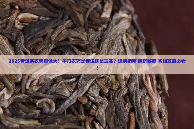 普洱茶真的不打农药吗
