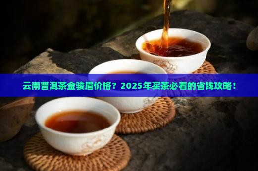 云南普洱茶金骏眉价格