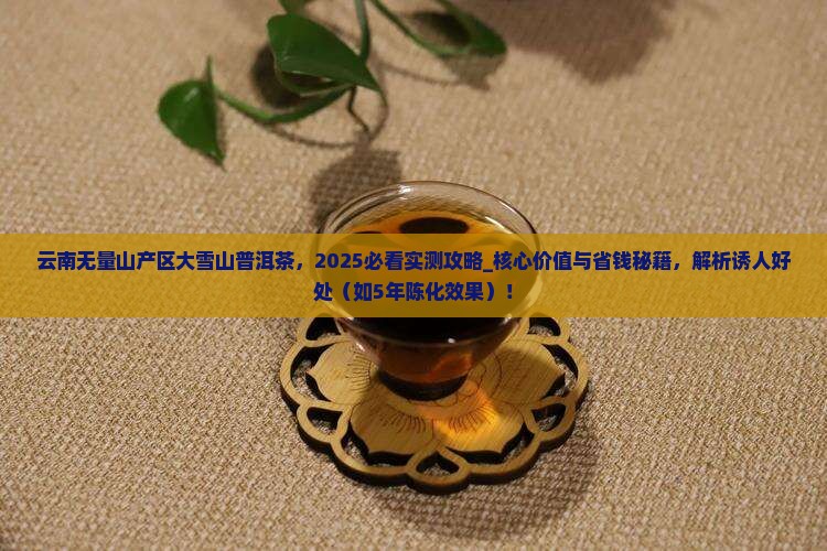 云南无量山产区大雪山普洱茶