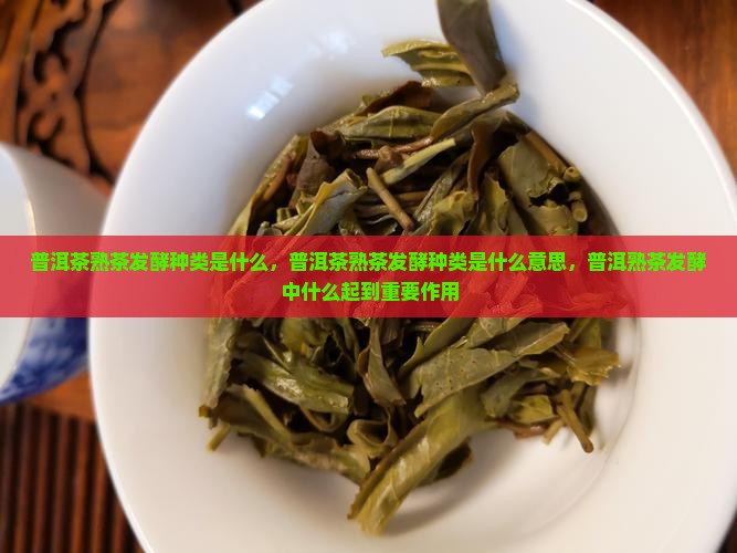 普洱茶熟茶发酵种类是什么