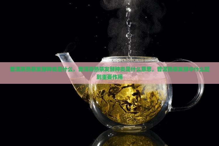 普洱茶熟茶发酵种类是什么