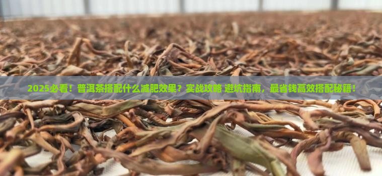 普洱茶搭配什么减肥效果好