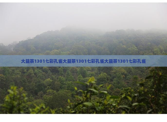 大益茶1301七彩孔雀
