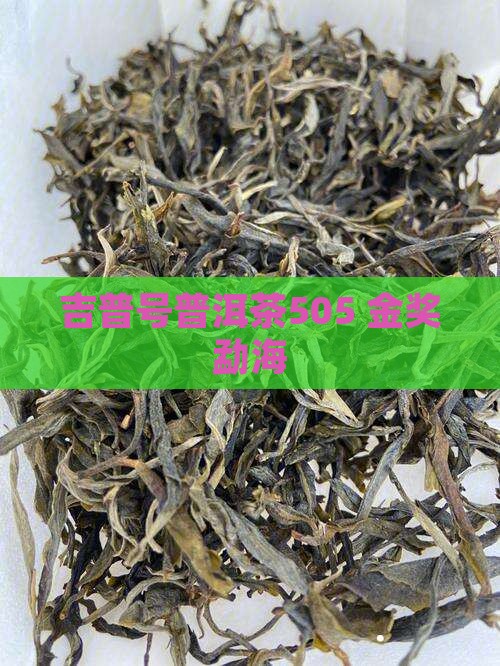 吉普号普洱茶505