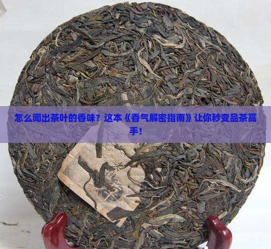 怎么描写茶叶闻起来的味道