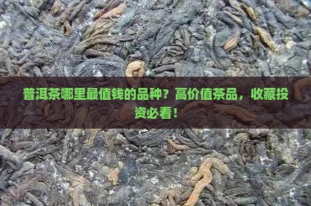 普洱茶哪里最值钱的品种