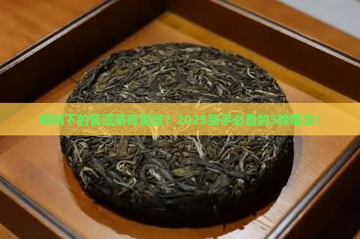 樟树下的普洱茶有哪些