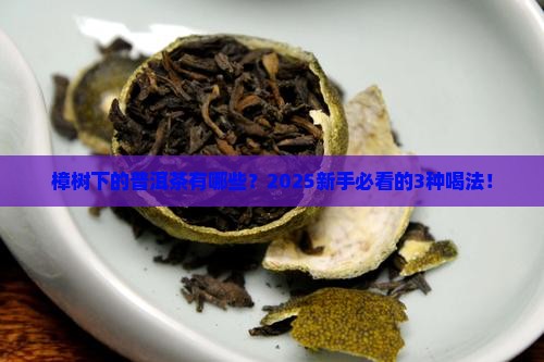 樟树下的普洱茶有哪些