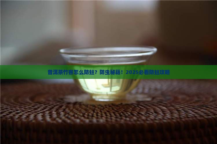 普洱茶竹客怎么防蛀