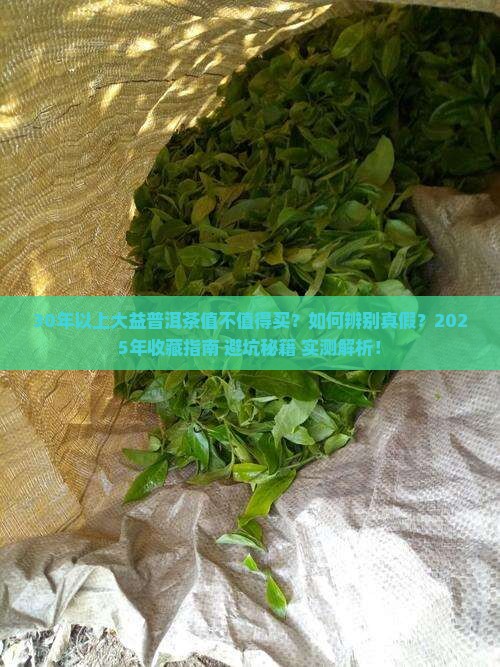 30年以上大益普洱茶