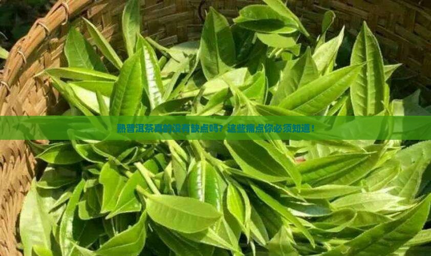 熟普洱茶的缺点