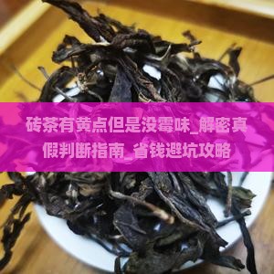 砖茶有黄点但是没霉味